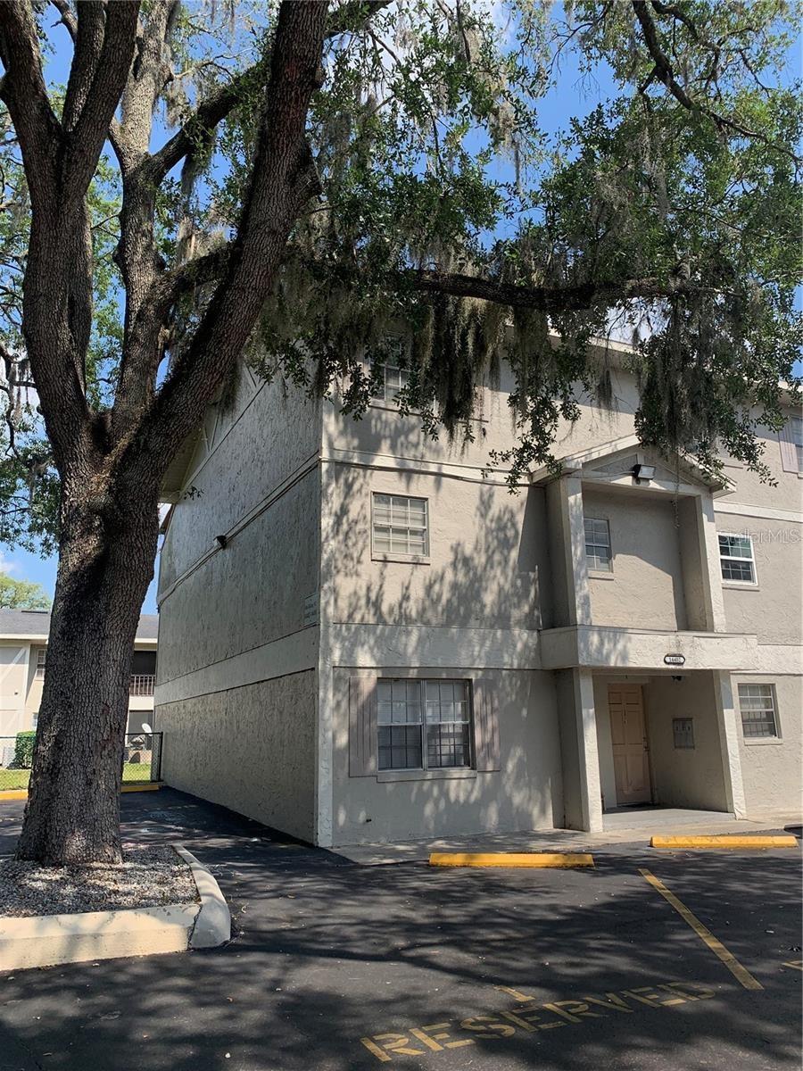 14402 Reuter Strasse Cir ##2 photo 1