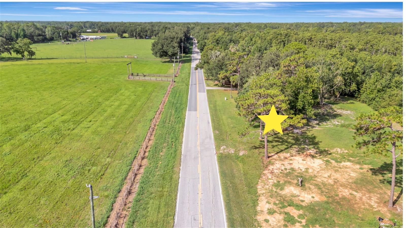 4541 County Road 561 photo 1