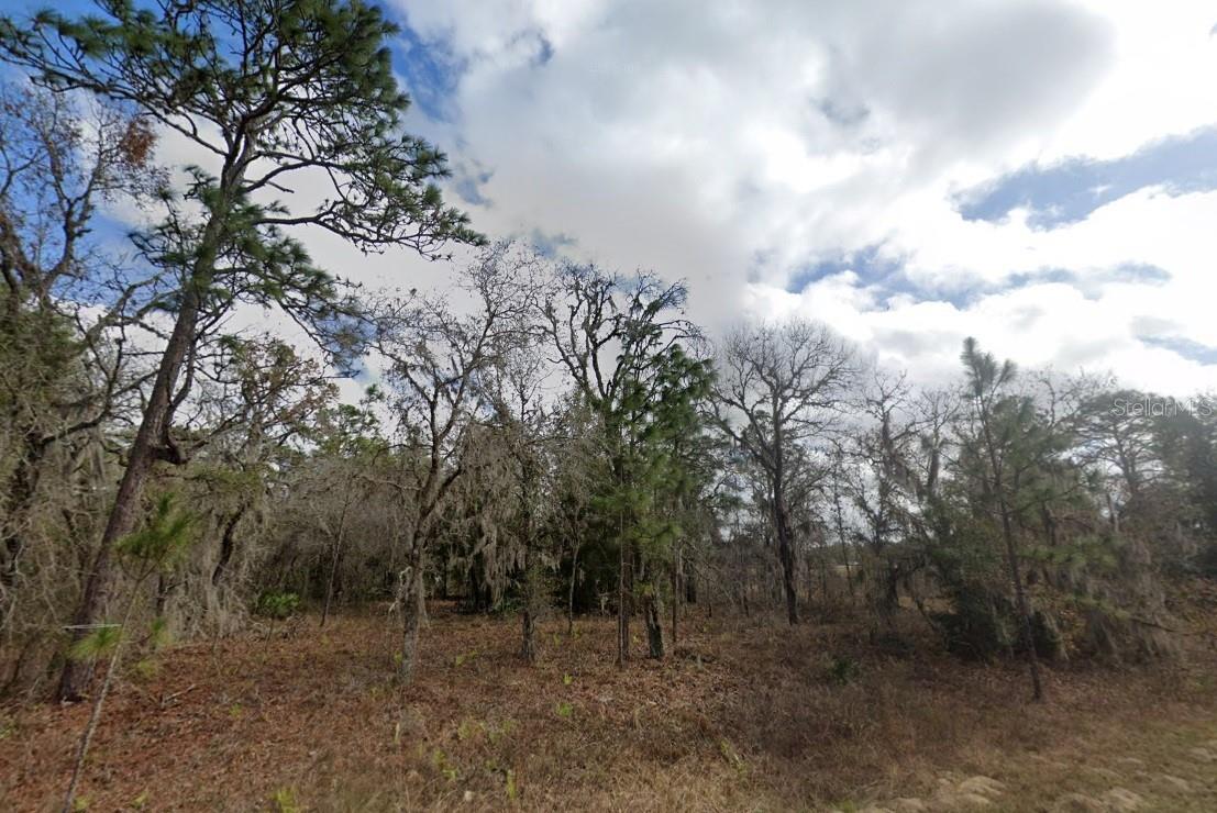 Crider Rd photo 1