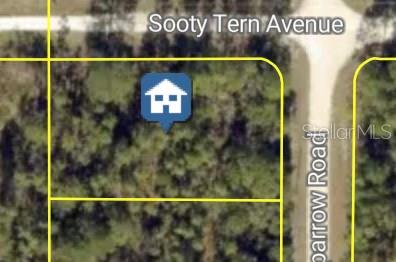 Sooty Tern Ave