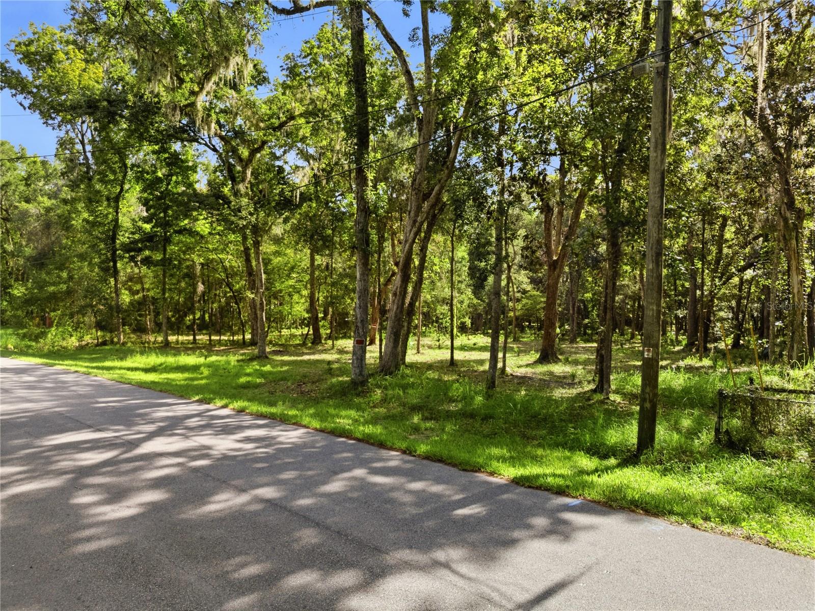 11330 Royal Dr photo 1