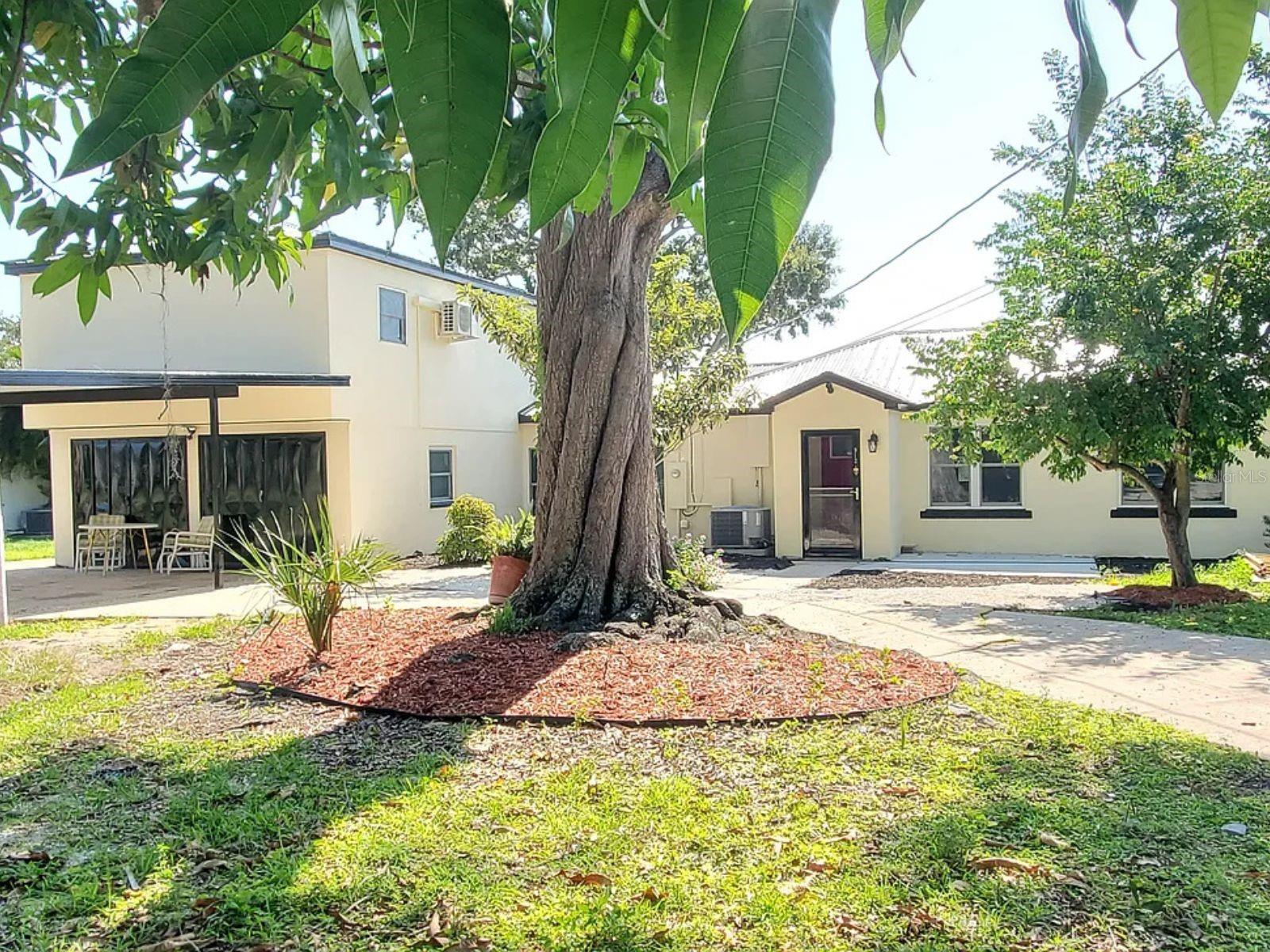 912 Lake Jessie Dr