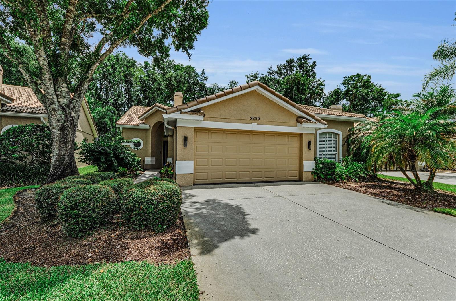 5250 Pinehurst CT photo 1
