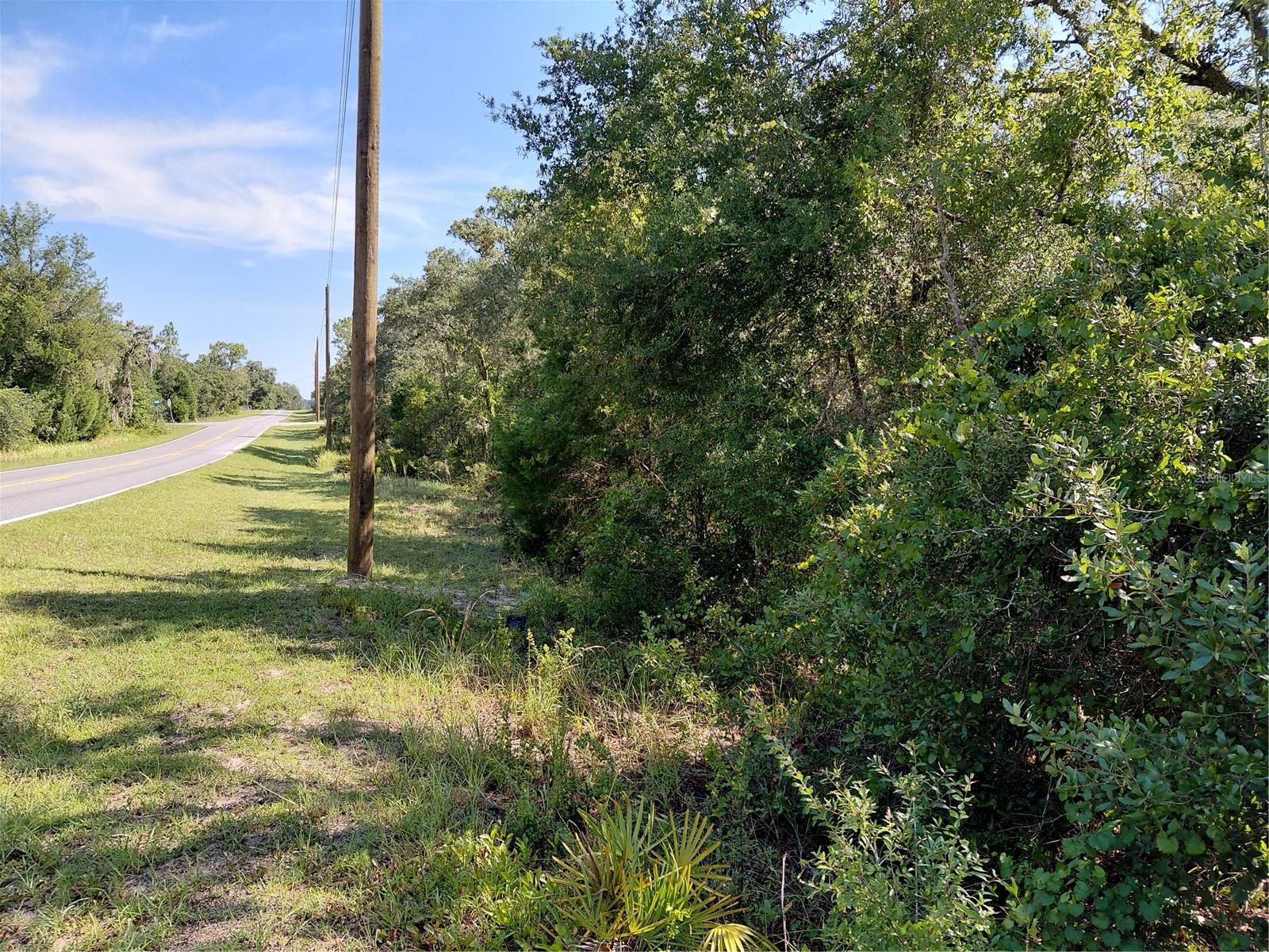 Wheystone Dr