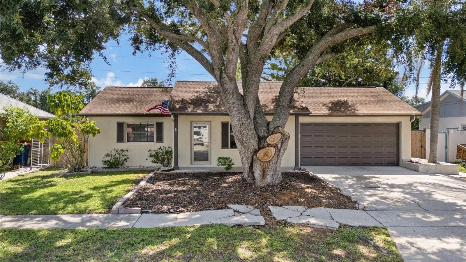 1310 Mandarin Dr photo 1