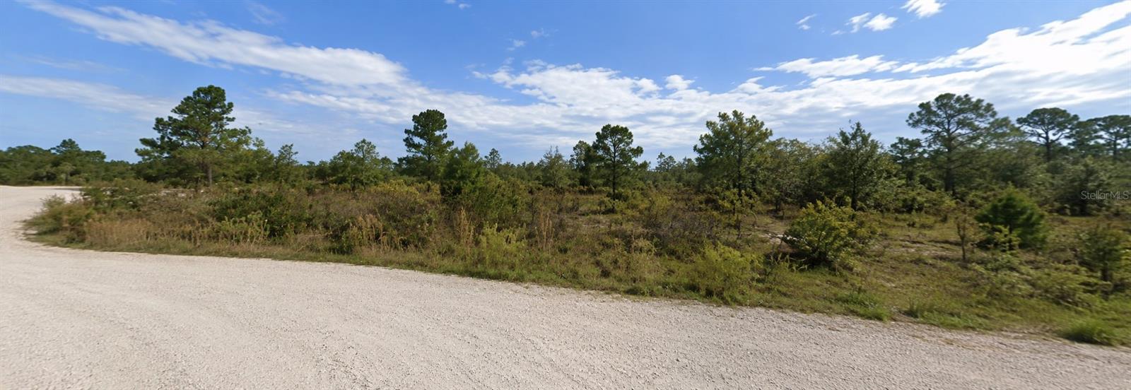Coral Rock Dr photo 1