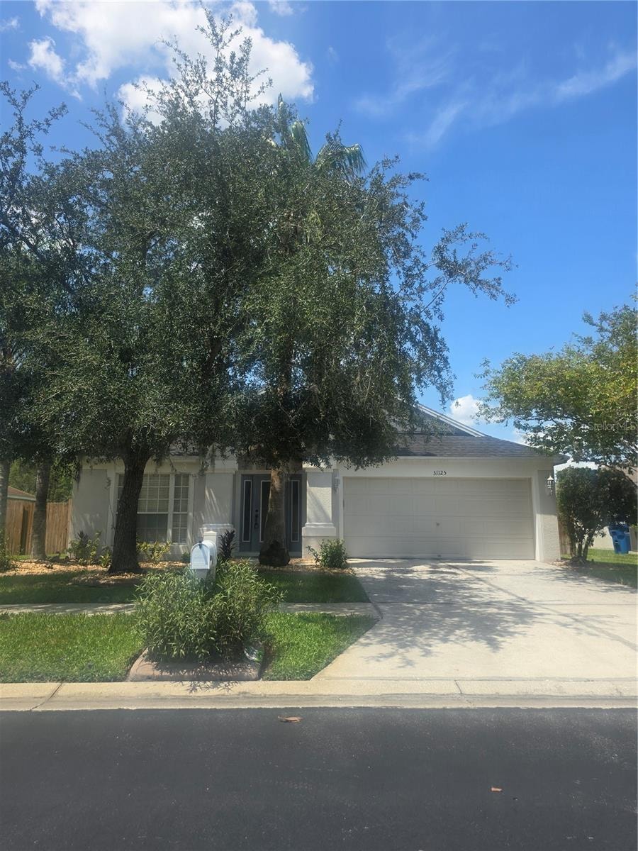 31125 Hannigan Pl photo 1