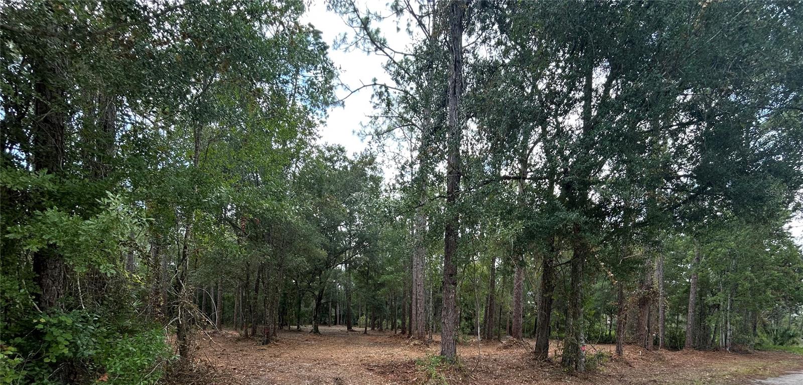 Westpoint Dr