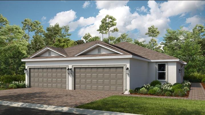 3205 Torta CT