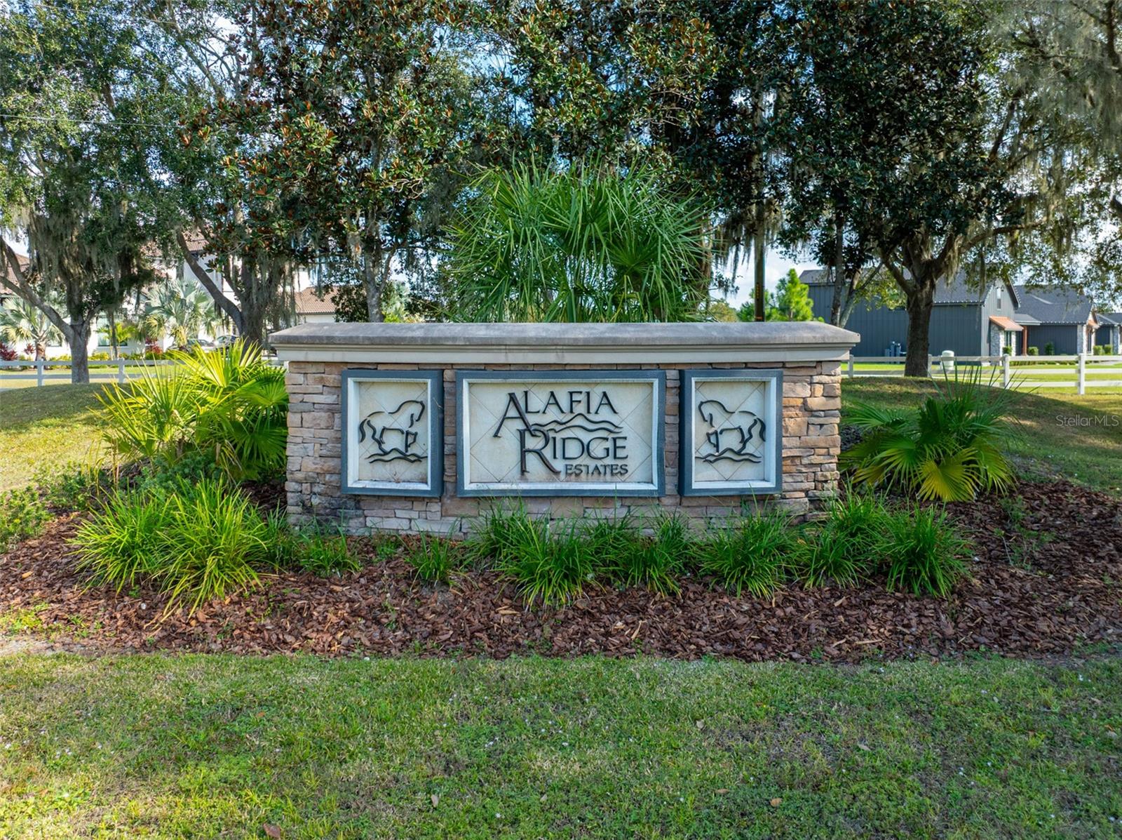 103 Alafia Estates Ln photo 1
