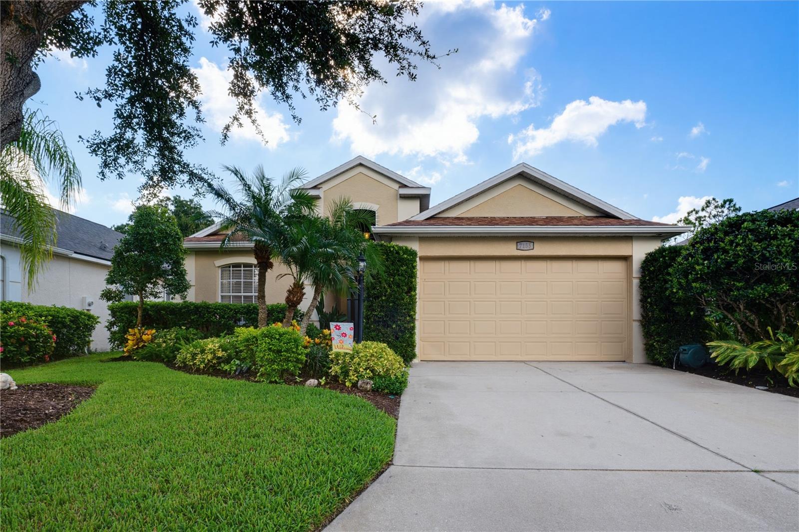 7155 Spikerush CT