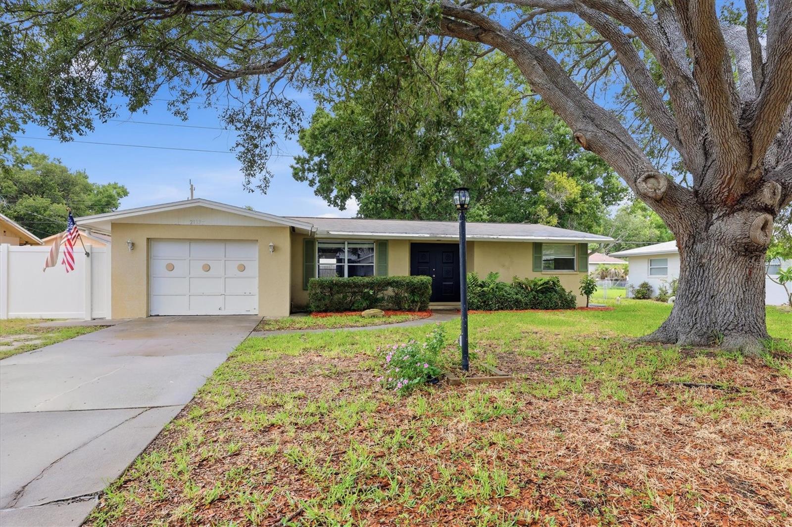 2173 Fiesta Dr photo 1