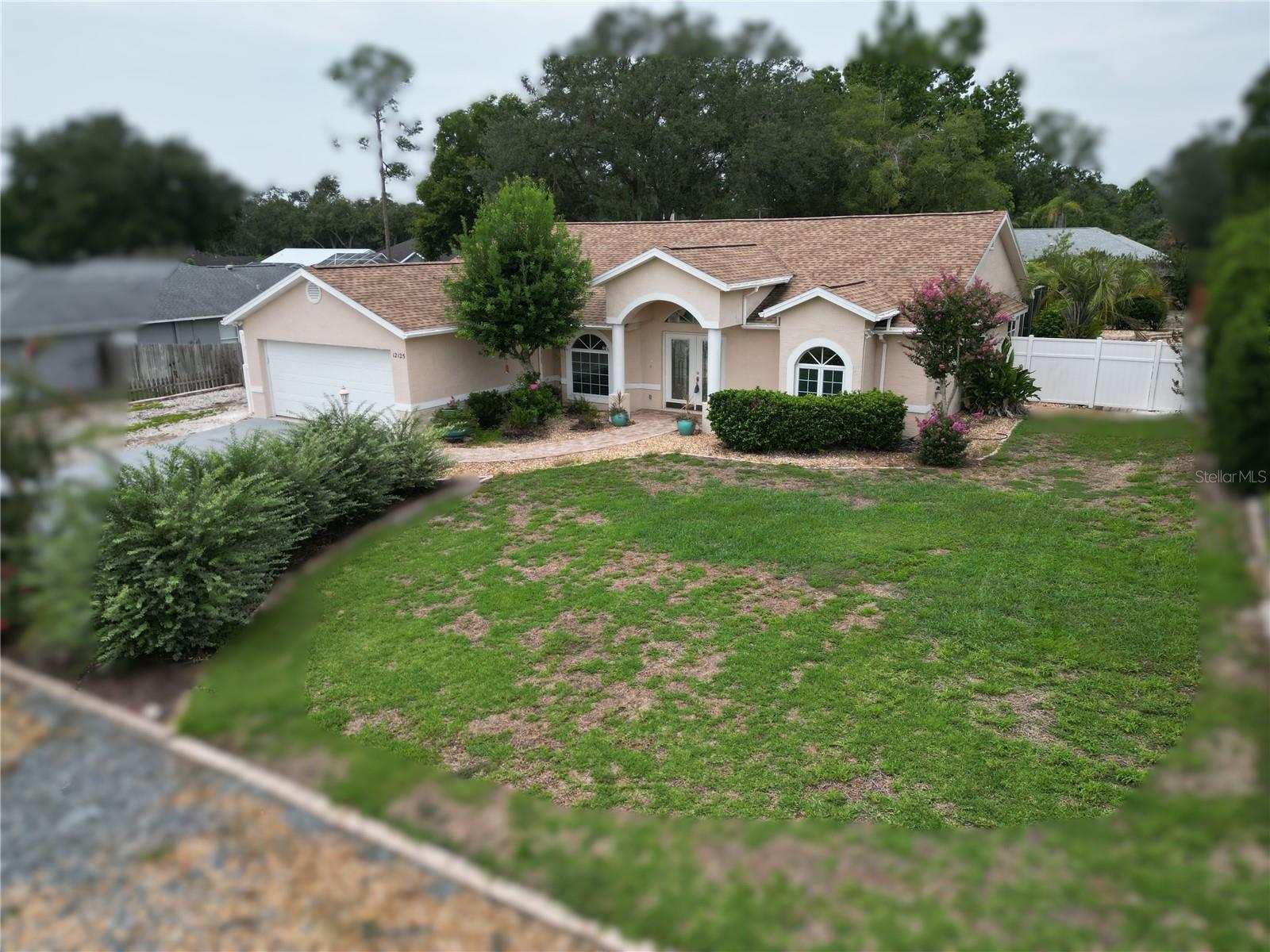12125 Knotty Pine Loop photo 1