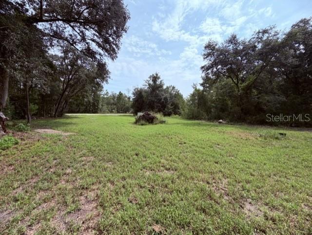 35356 Kramer St photo 1