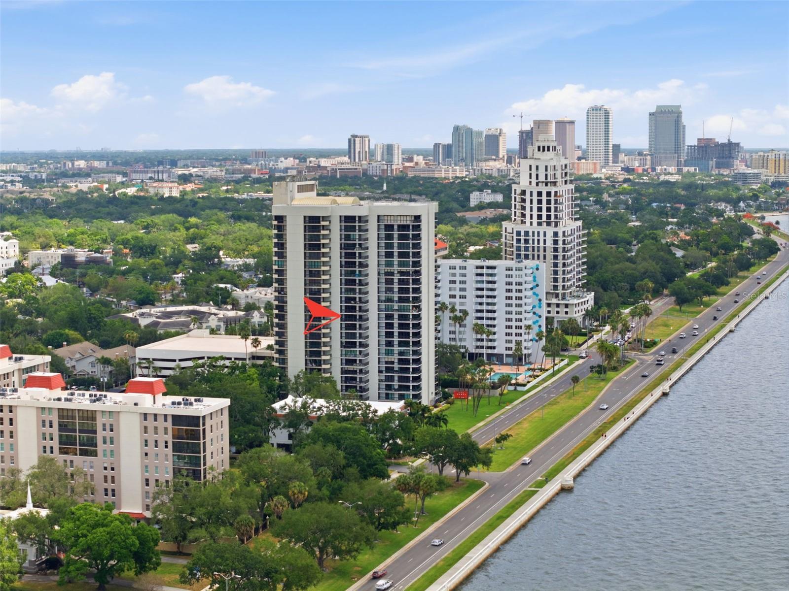 2413 Bayshore Blvd #1004 photo 1