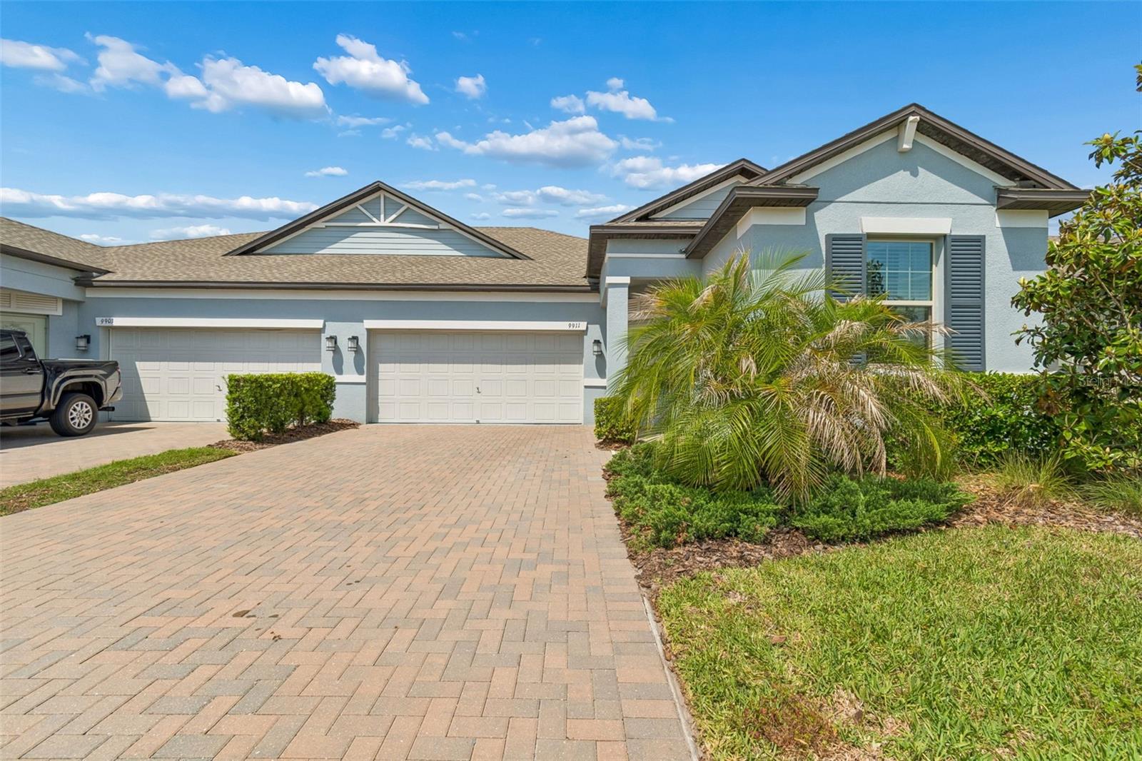 9911 Campanula CT