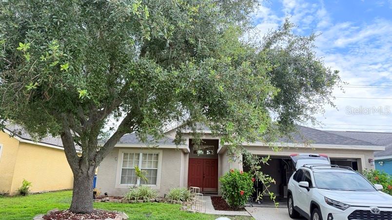 1120 Vinetree Dr