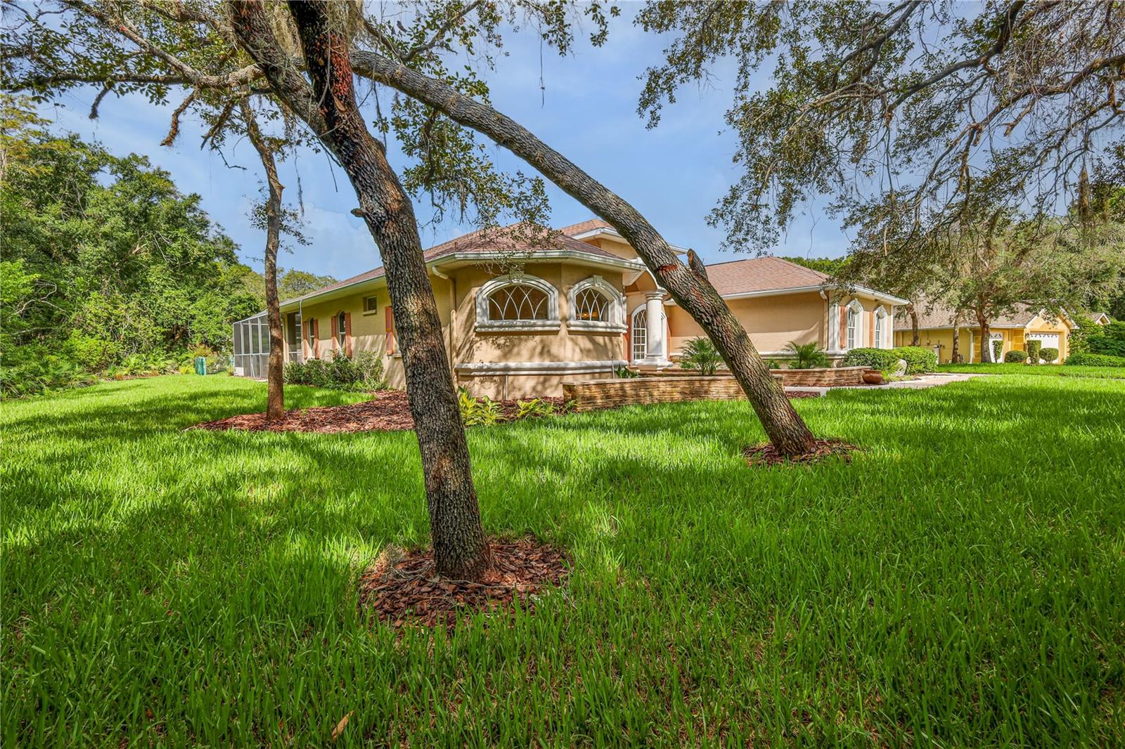 11644 Parable CT