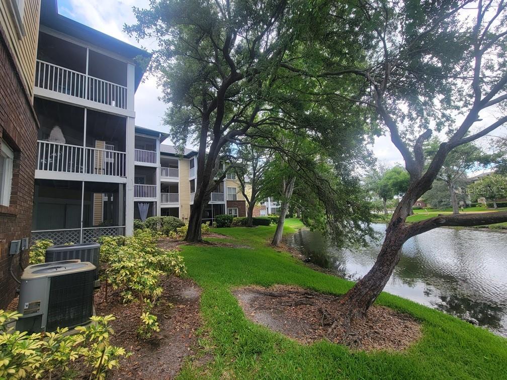 10024 Strafford Oak CT #813