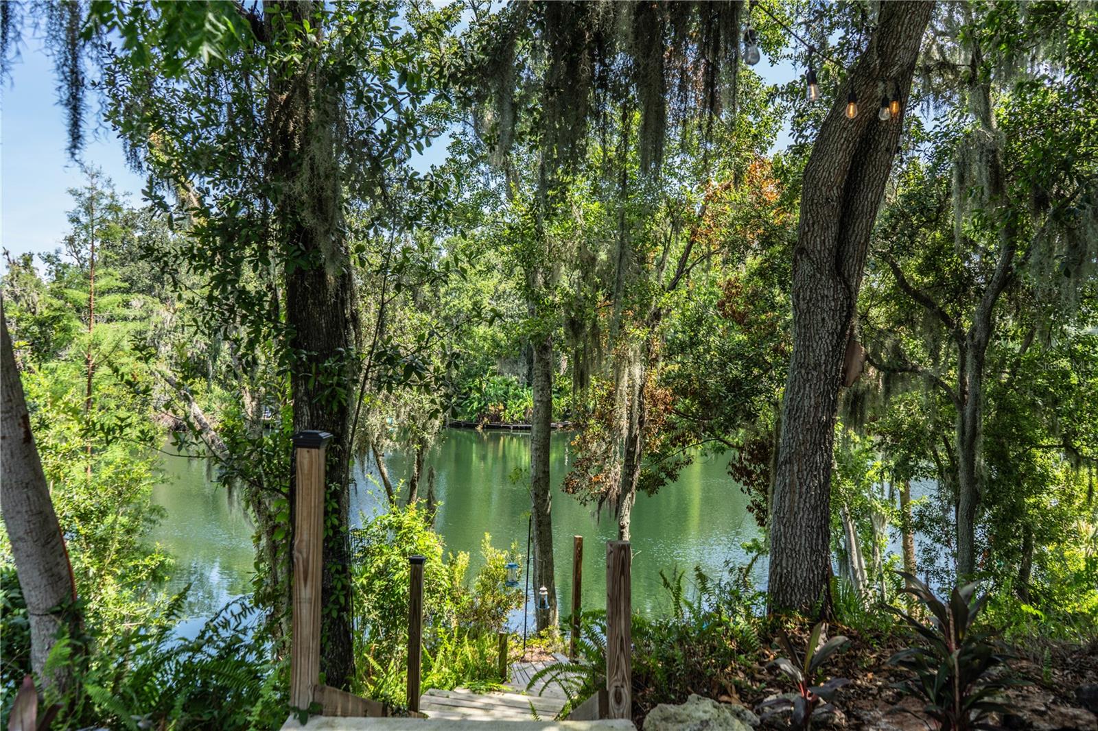 950 Lake Cove Trl photo 1