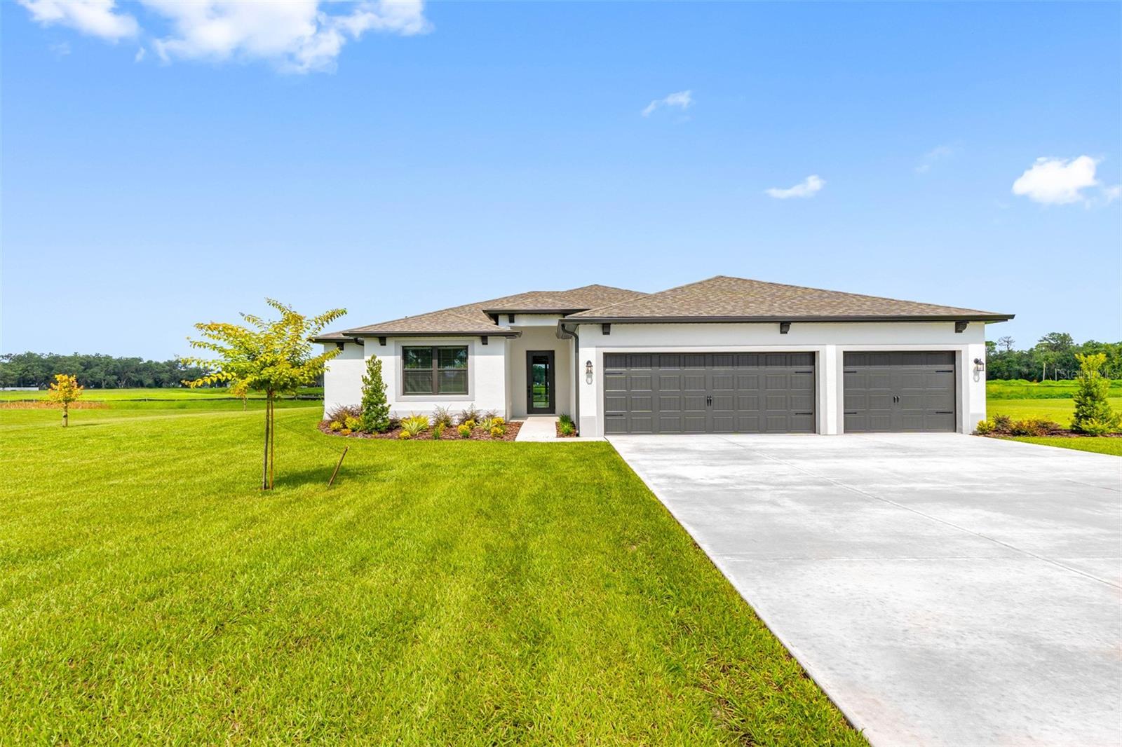 13483 Lake Gallagher Dr photo 1