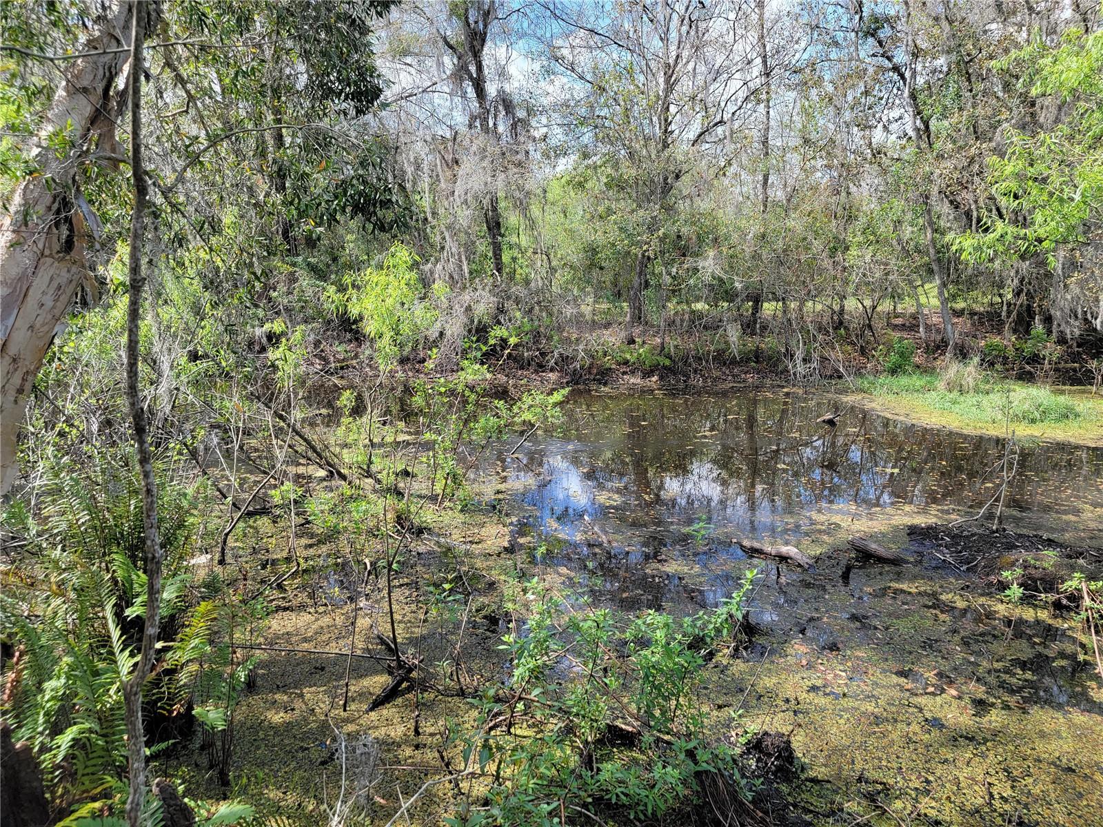 Tbd Bell Lake Rd