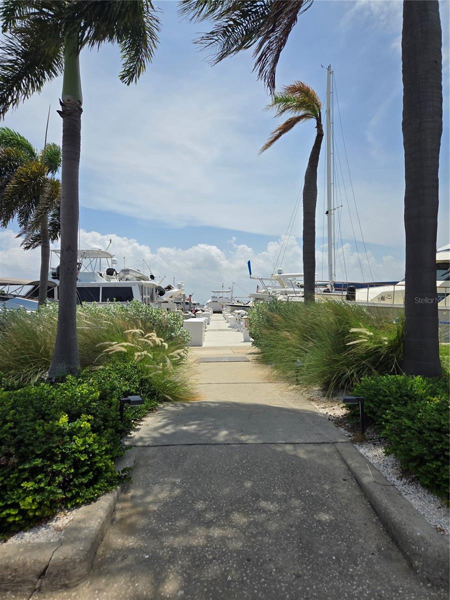 2800 Harbourside Dr #D-16 photo 1