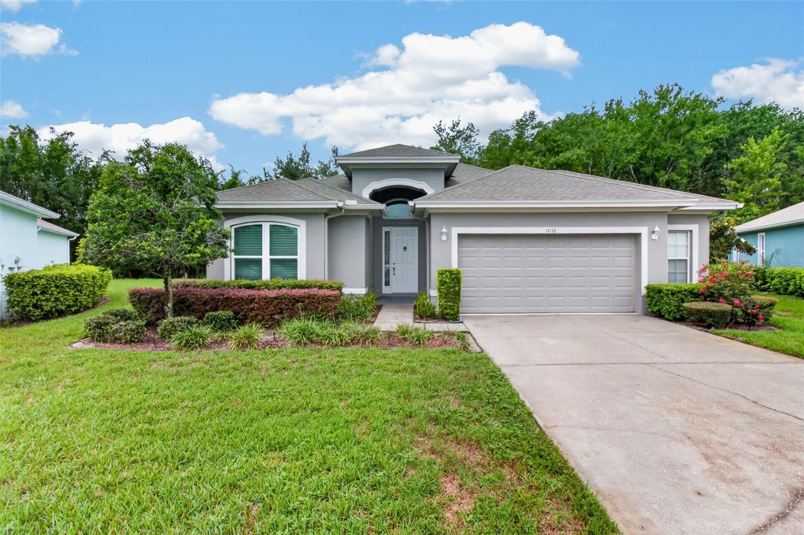 11156 Merganser Way photo 1