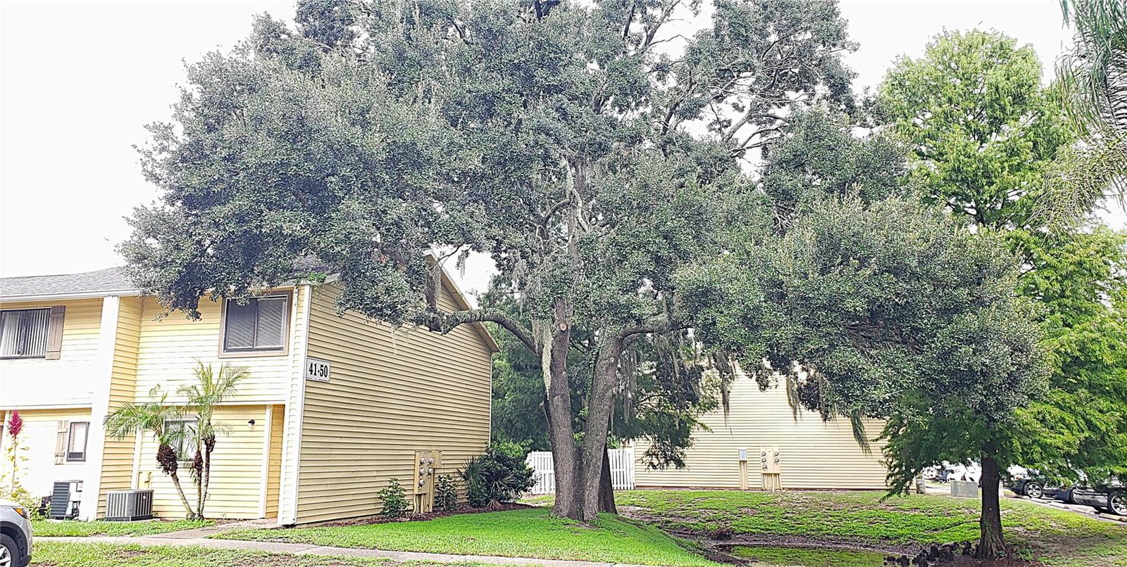 22726 Gage Loop #41 photo 1