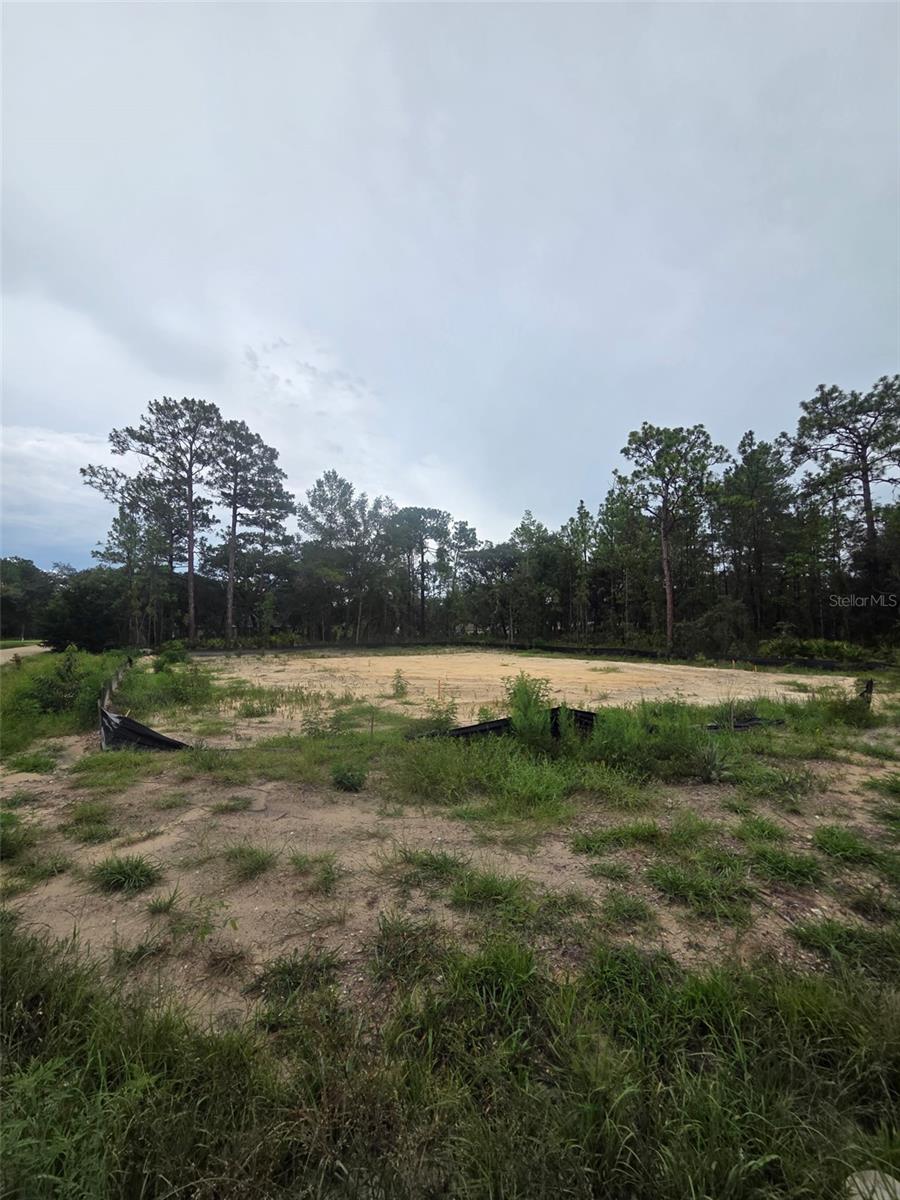 15326 Mottled Owl Rd