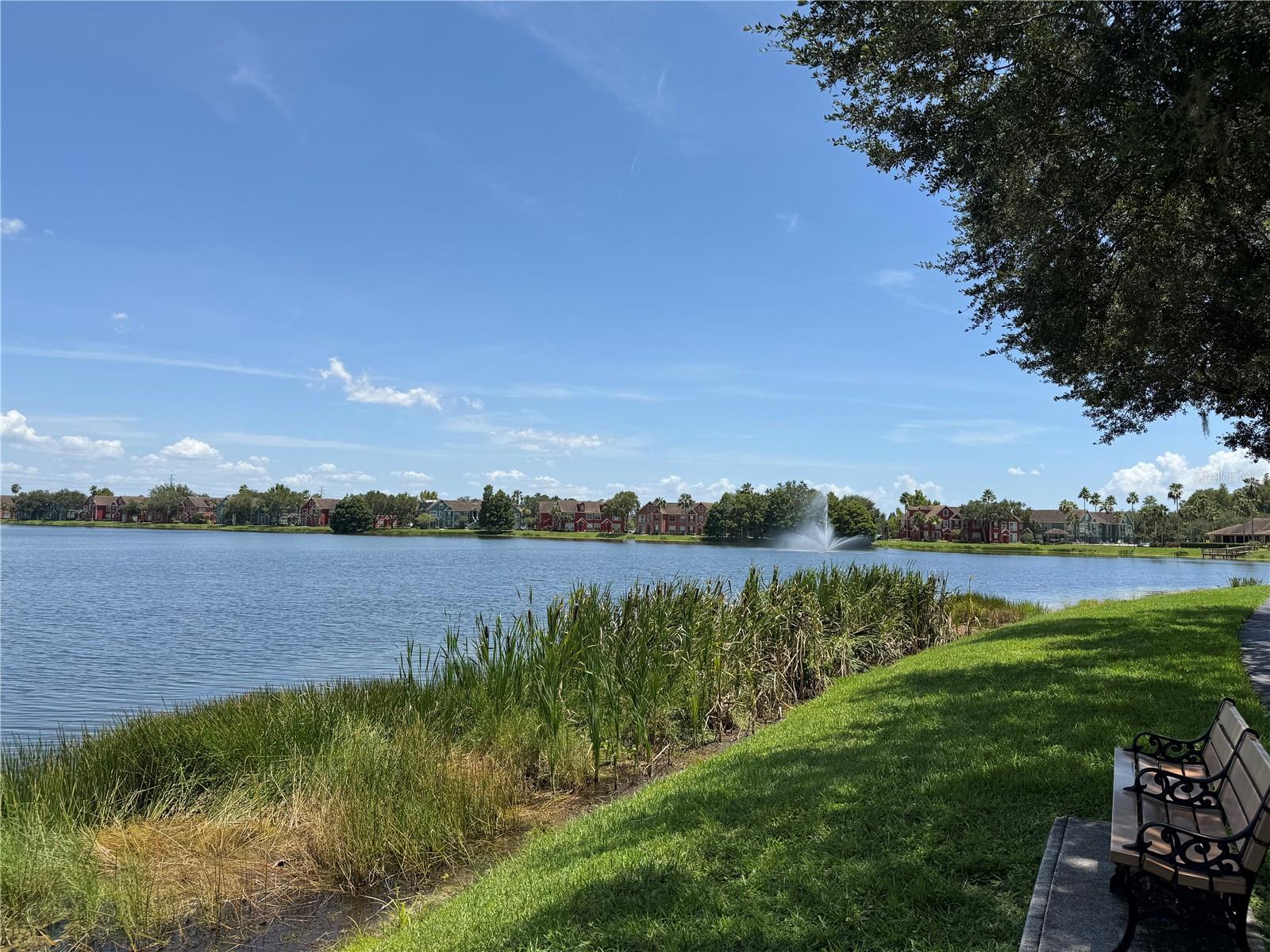 9288 Lake Chase Island Way