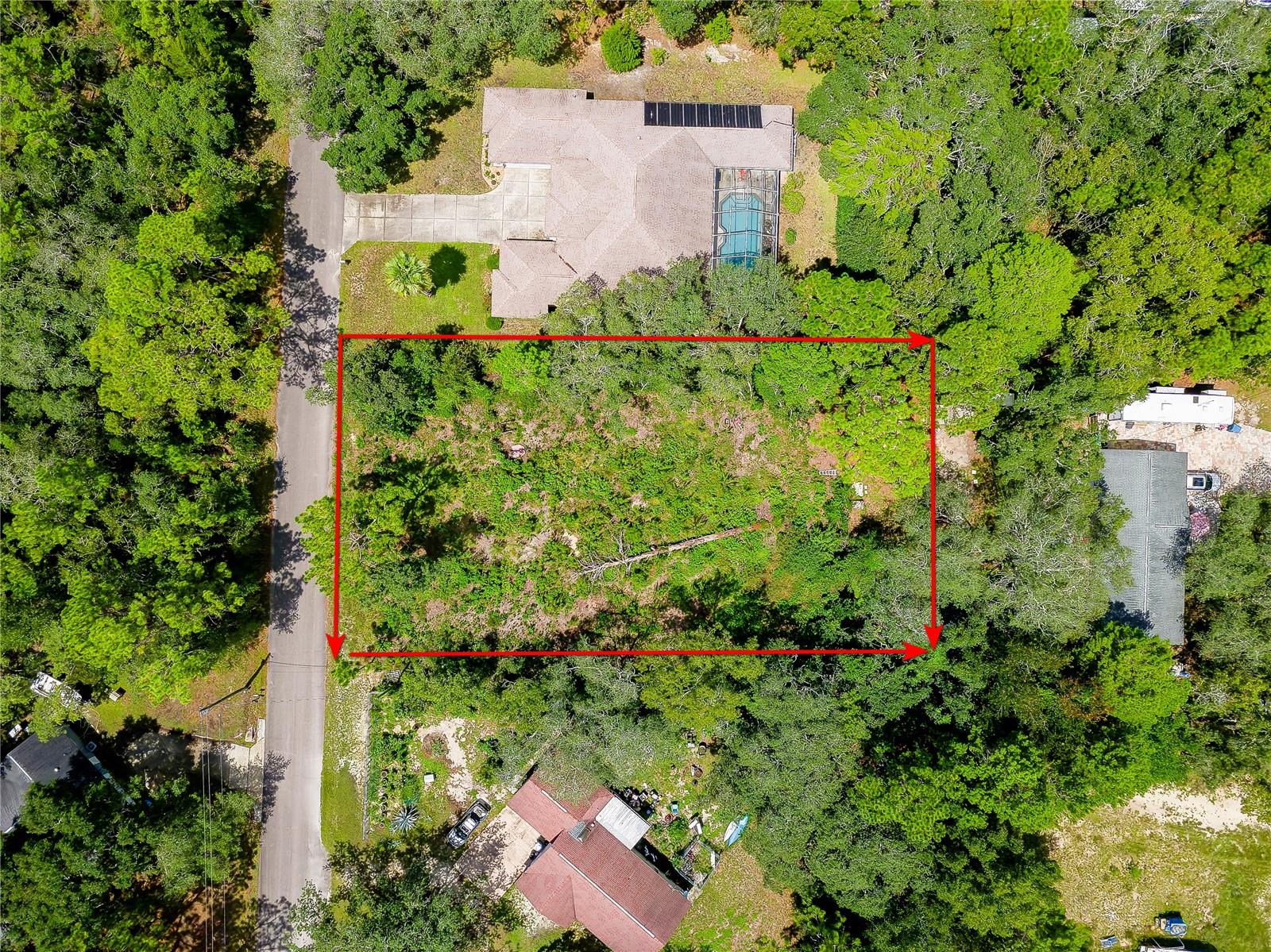 9041 Helene Way photo 1