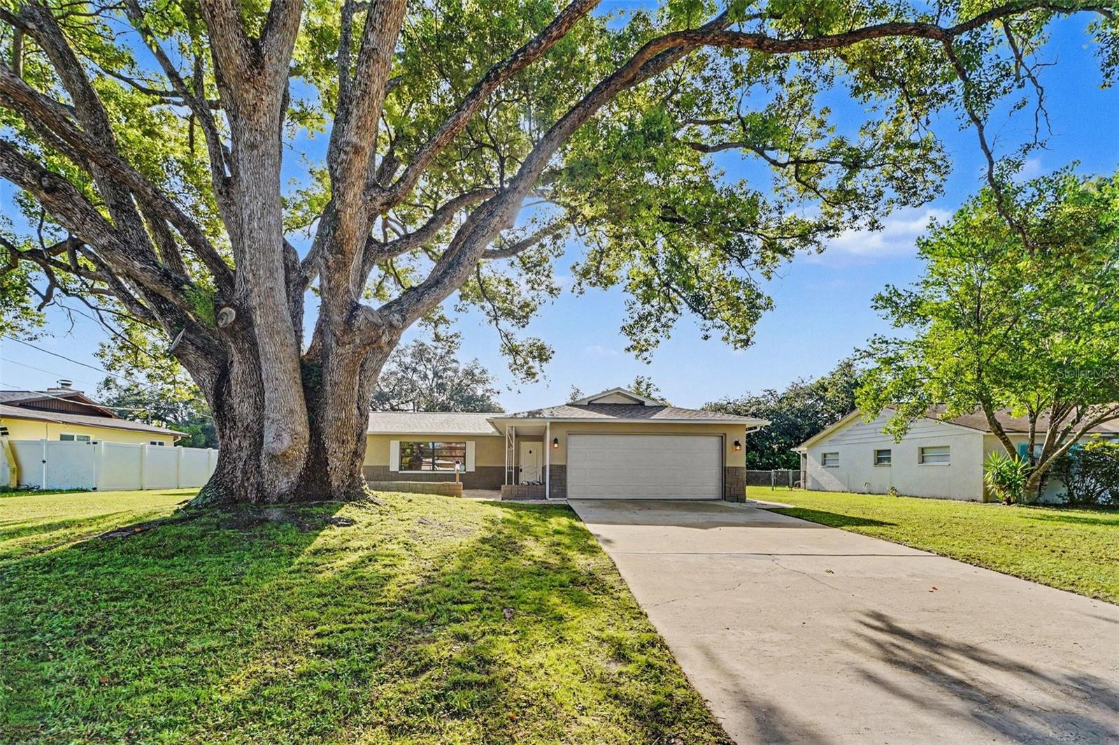 1364 DILL Ave photo 1