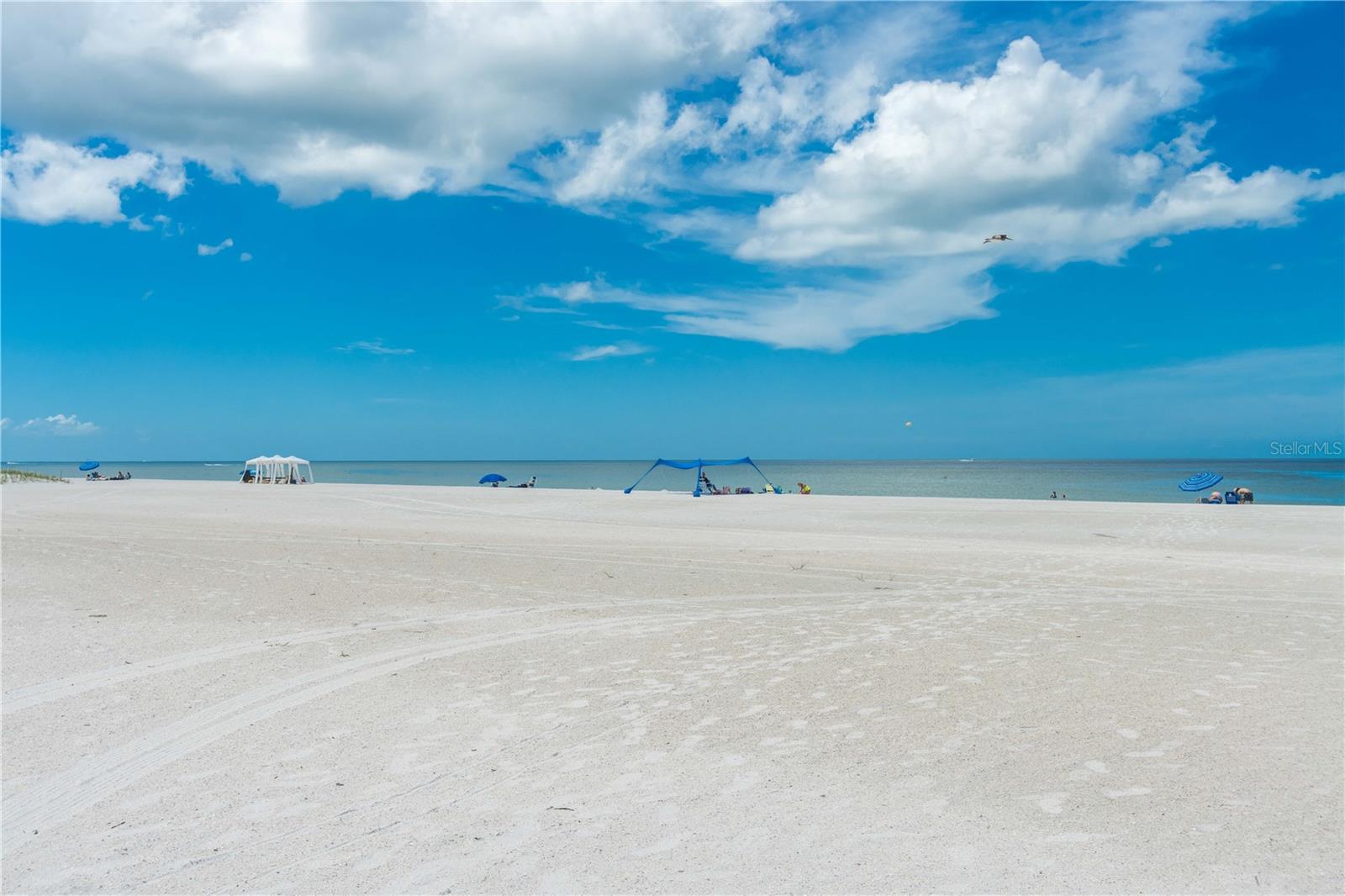 11605 Gulf Blvd #503