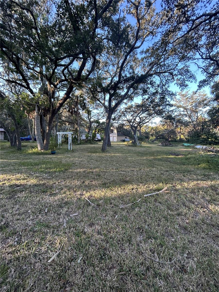 14428 Guava St