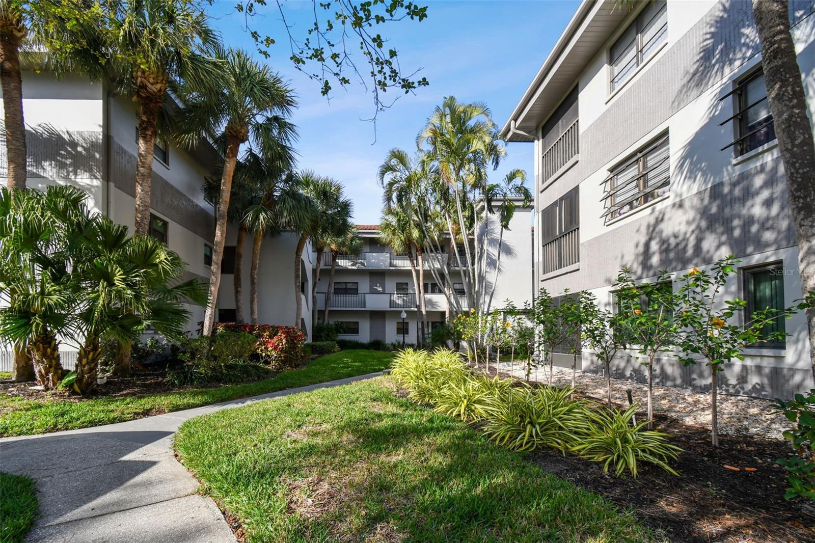 2650 Countryside Blvd #C309