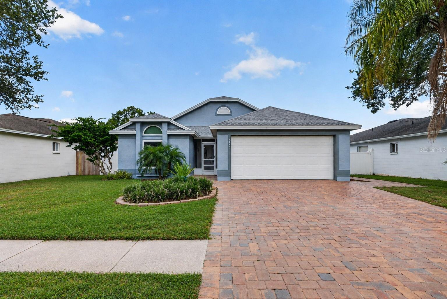 5910 Button Quail CT