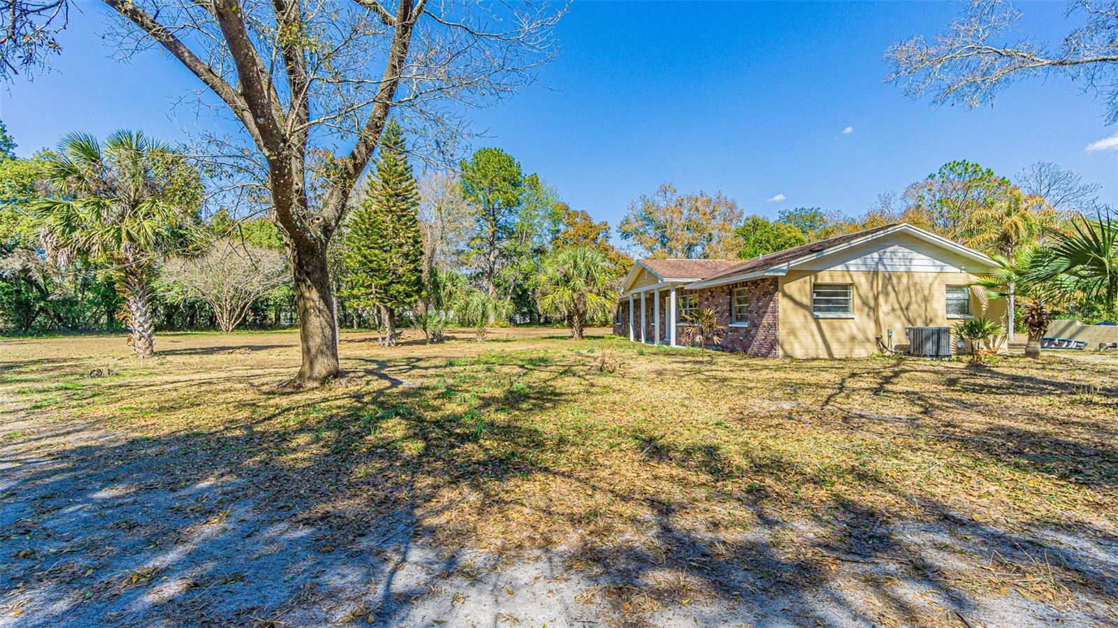 3902 Autumn Palm Dr