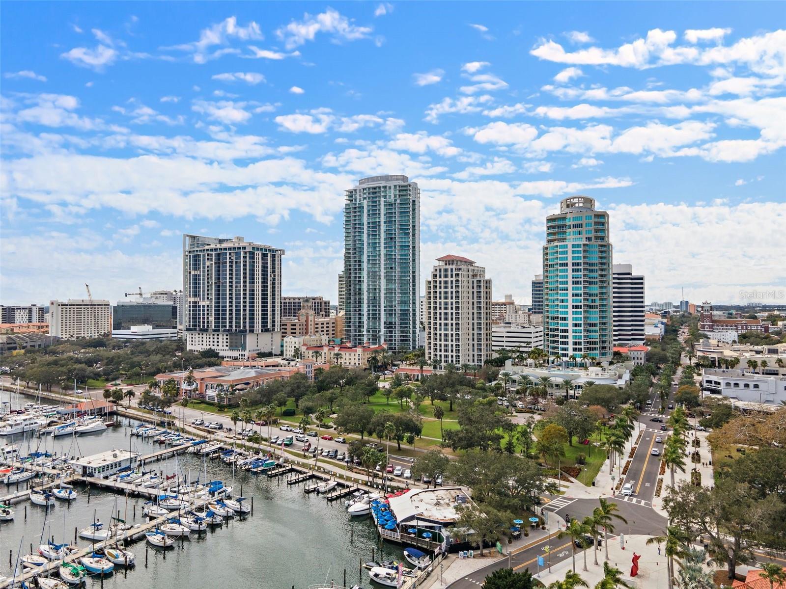 100 Beach Dr NE #1501 photo 1