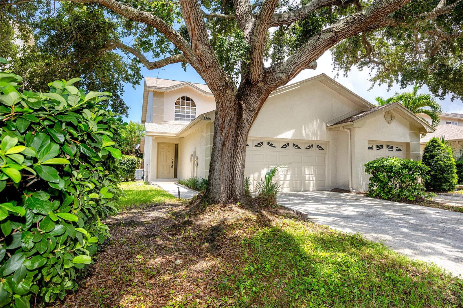 2566 W Brook Ln photo 1