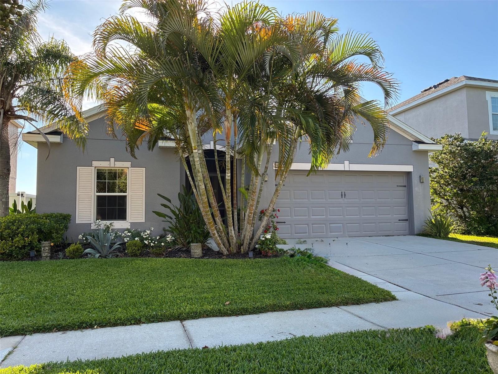 802 Fern Leaf Dr photo 1