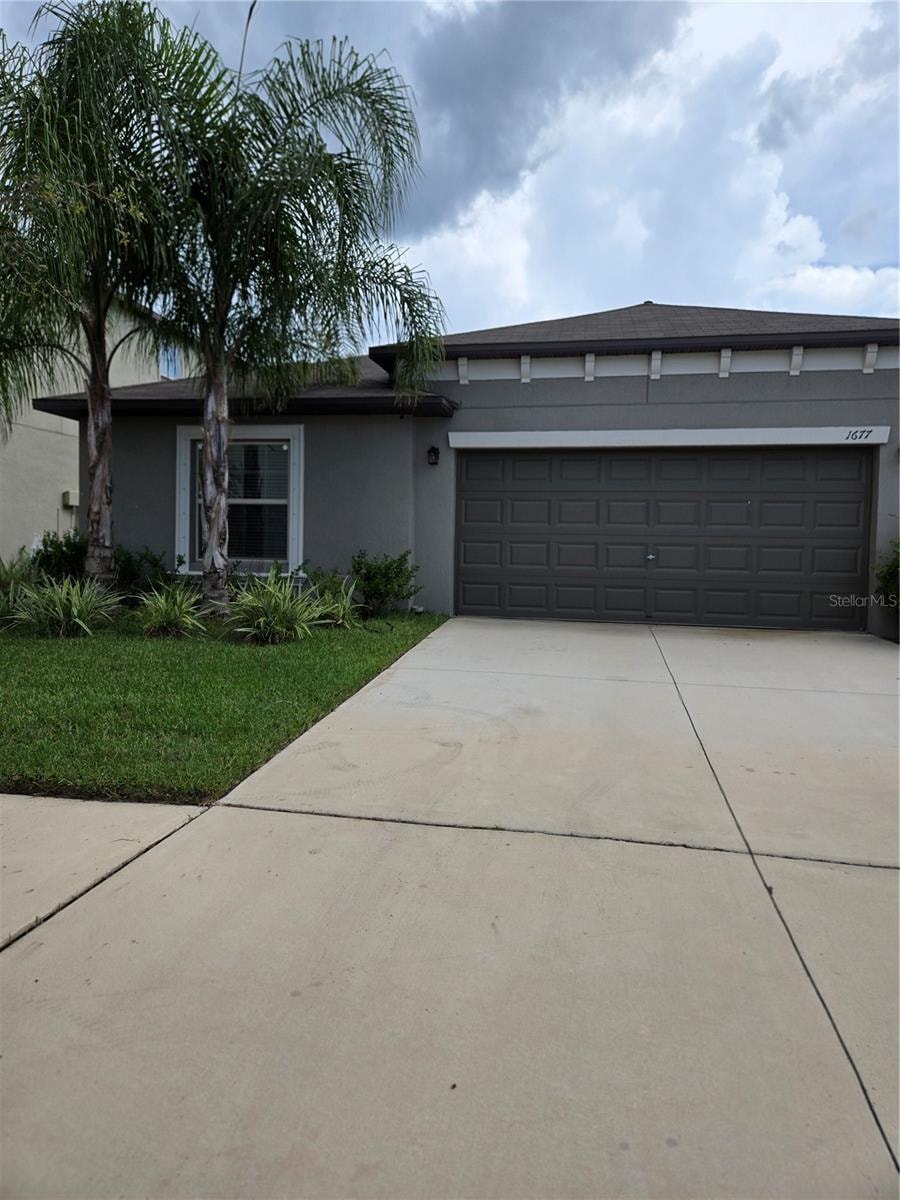1677 Blue Rose Dr