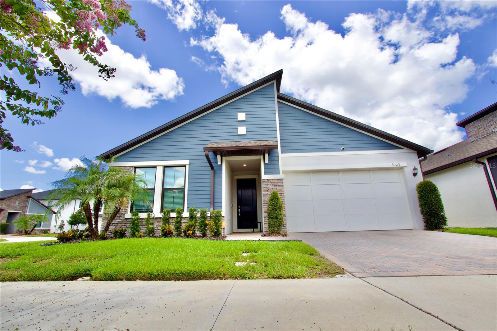 9723 Coneflower CT photo 1