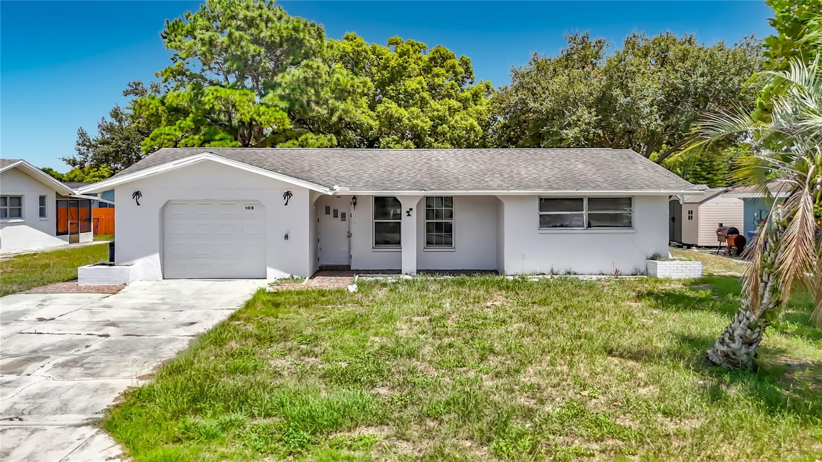 10328 Loquat Dr photo 1