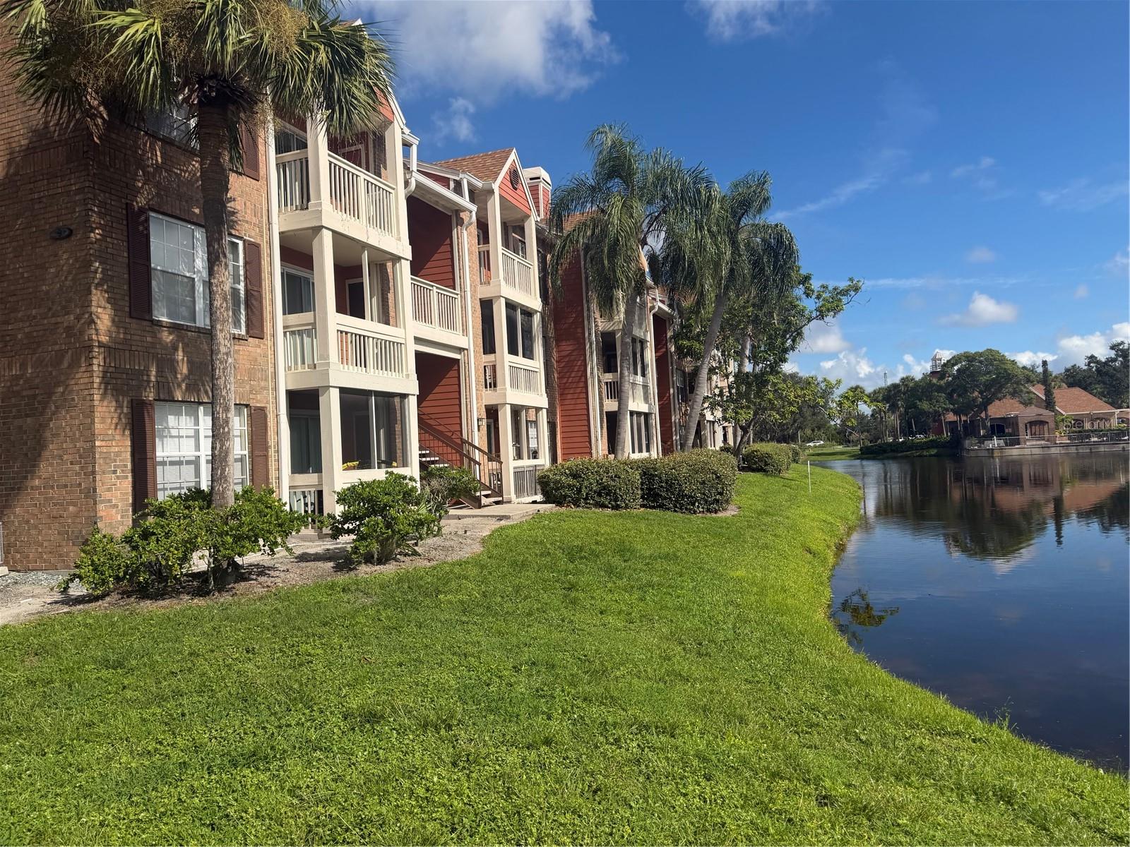 10200 Gandy Blvd N #923 photo 1