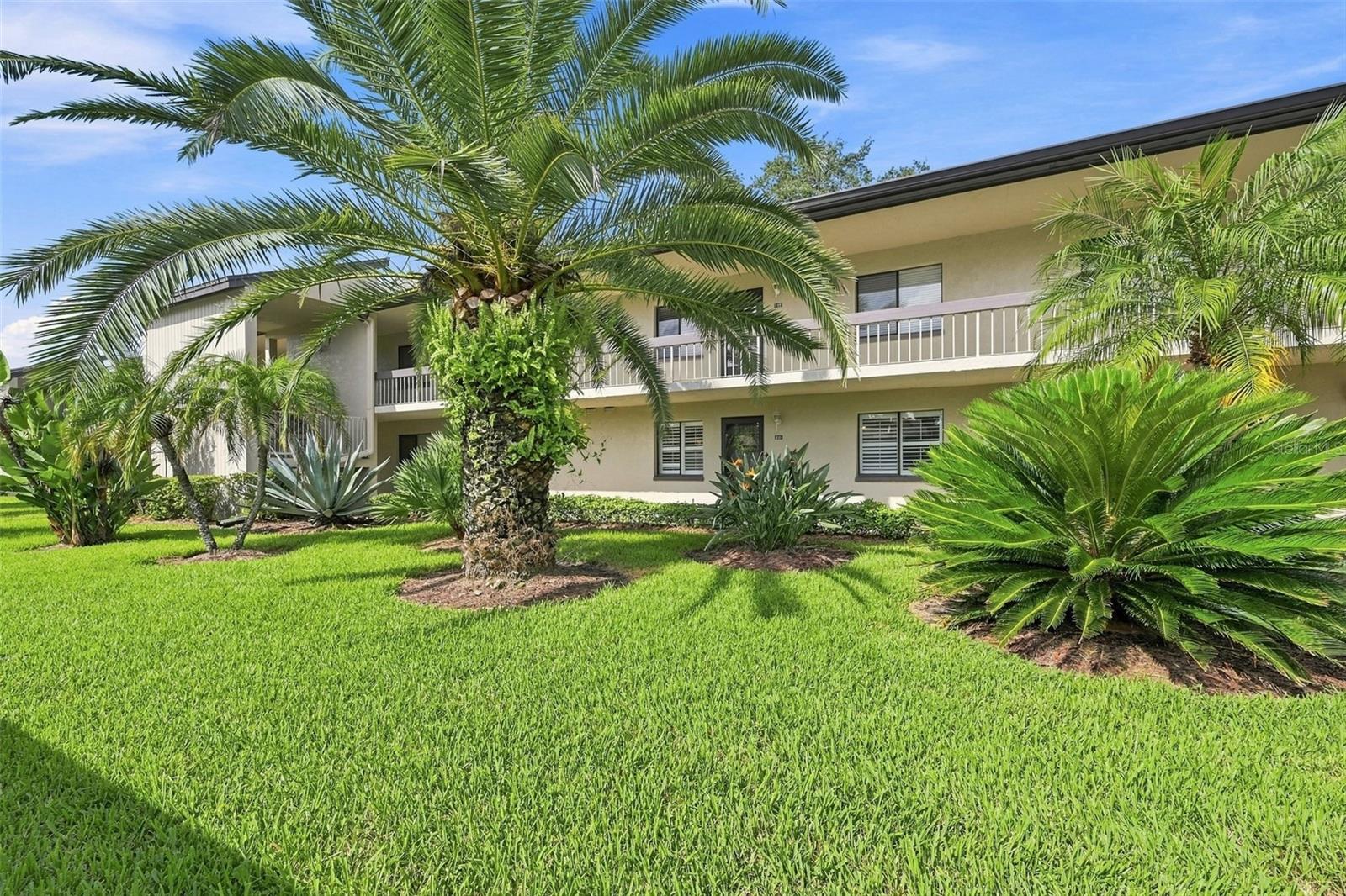 221 Nina Way #61 photo 1
