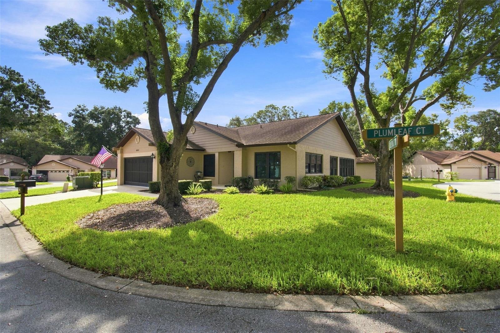 6802 Plumleaf CT