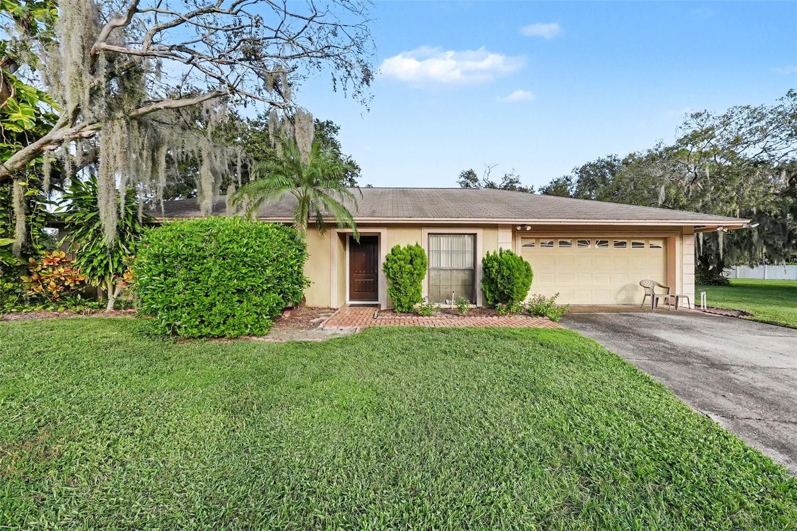 602 Speck CT photo 1
