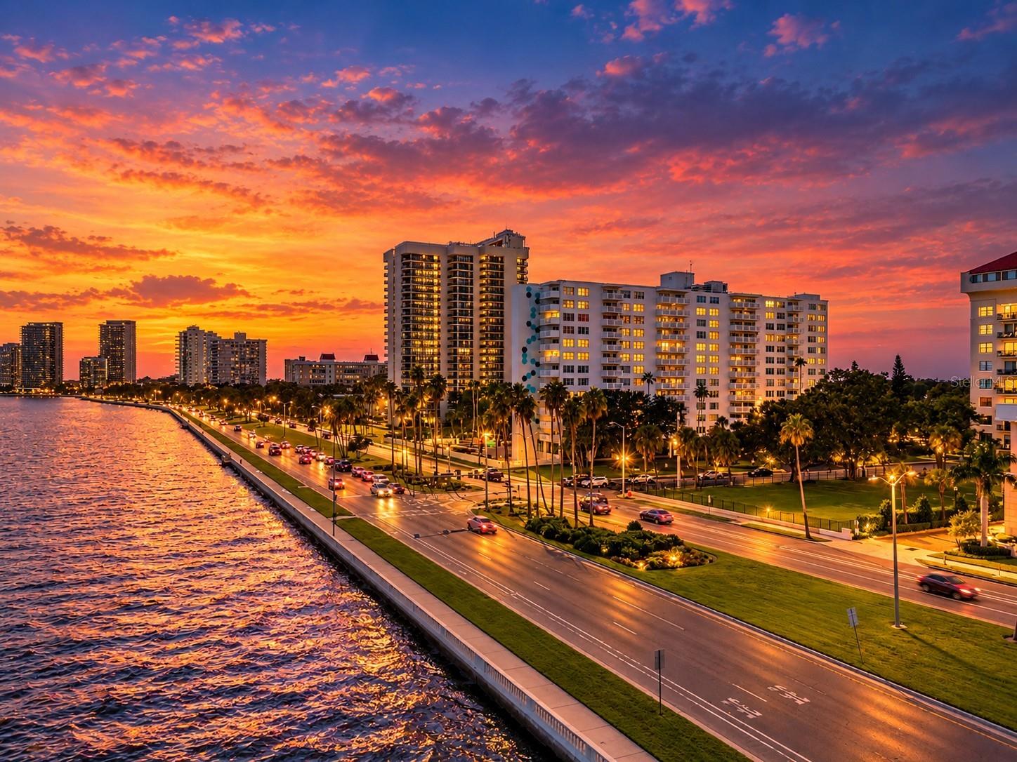 2401 Bayshore Blvd #212