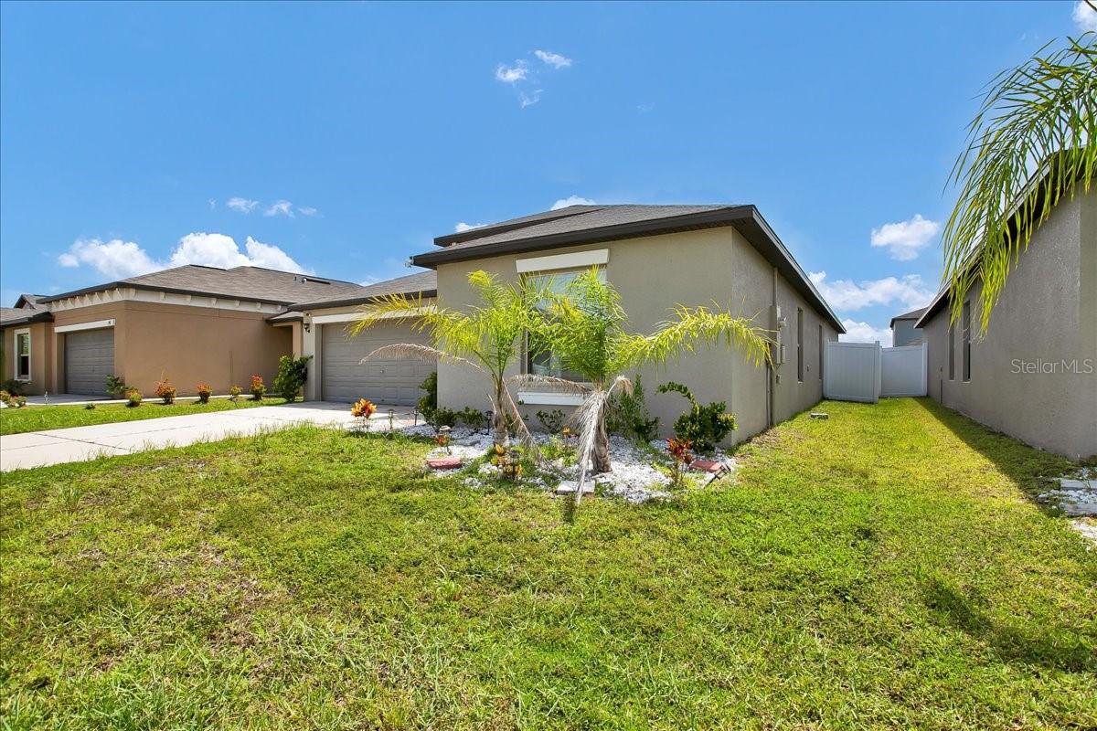 769 Calico Scallop St